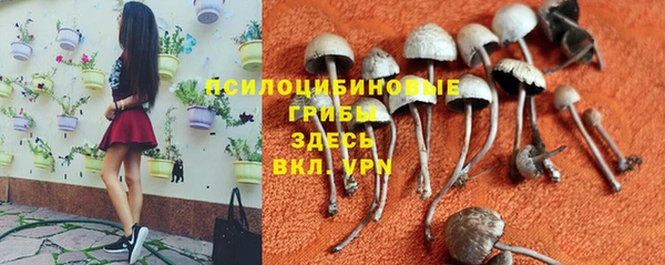 эйфоретик Слюдянка