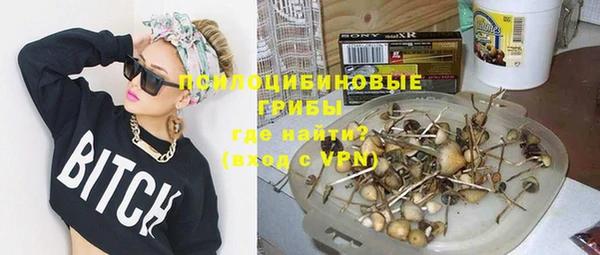 стафф Снежногорск