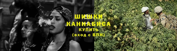 дурь Инта