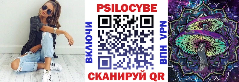 Галлюциногенные грибы Cubensis  что такое   Суздаль 